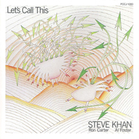 Steve Khan - Let's Call This