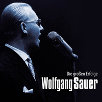 Wolfgang Sauer - Die großen Erfolge