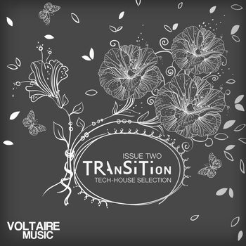 Various Artists - Transition Issue 02