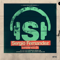 Sergio Fernandez - Experience