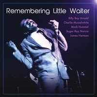 Various Artists - Remembering Little Walter