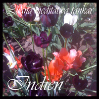 Indien - Lugna meditativa tankar