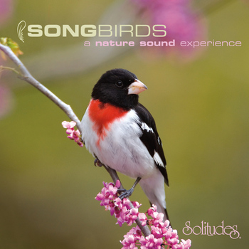 Dan Gibson's Solitudes - Songbirds