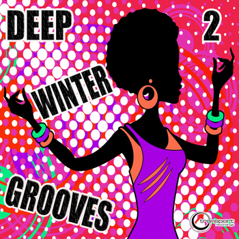 Various Artist - Deep Winter Grooves, Vol. 2