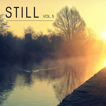 Various Artists - Still Vol. 5 - The Midwinter Chill out Lounge Experience
