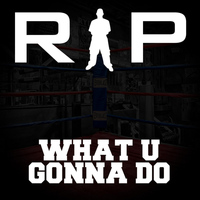 Rip - What U Gonna Do (feat. Sincere)