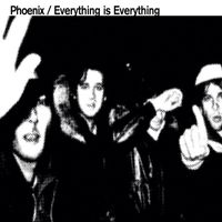Phoenix - Everything Is Everything