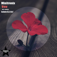 Minitronix - Vow