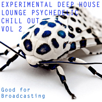 Various Artists - Experimental Deep House Lounge Psychedelic Chill Out, Vol. 2 (Good for Broadcasting)