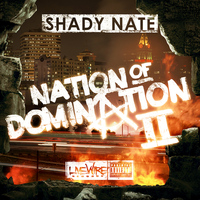 Shady Nate - Nation of Domination Pt. 2 (Explicit)