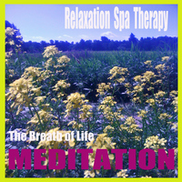 The Breath of Life - Meditation