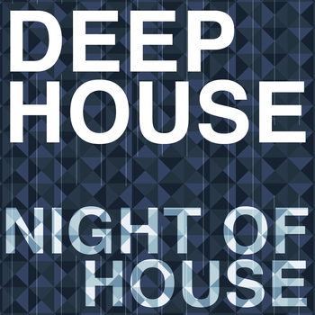 Various Artists - Night of House