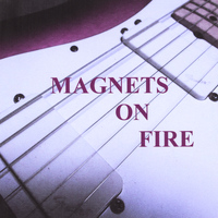 Newton - Magnets On Fire