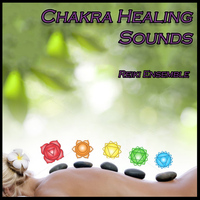 Reiki Ensemble - Chakra Healing Sounds