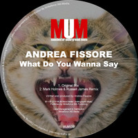 Andrea Fissore - What Do You Wanna Say