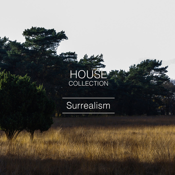 Various Artists - Surrealism