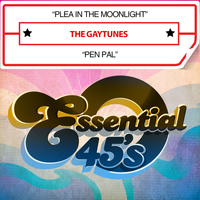 The Gaytunes - Plea in the Moonlight / Pen Pal (Digital 45)