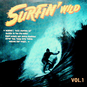 Various Artists - Surfin' Wild