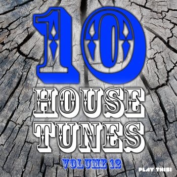 Various Artists - 10 House Tunes, Vol. 12