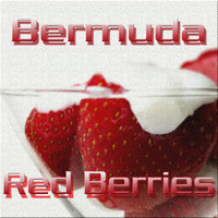 Bermuda - Red Berries