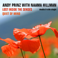 Andy Prinz - Lost Inside the Senses