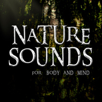 Zen Masters - Nature Sounds for Body and Mind