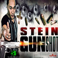 Stein - Gunshot - Single