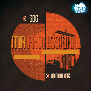 GDG - Mr Professional