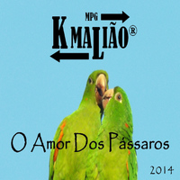 Kmalião - O Amor dos Pássaros - 2014