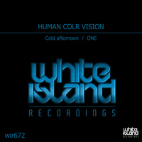 Human Color Vision - Cold Afternoon / One
