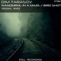 Dim Tarasov - Wandering In A Maze / Bird Shot