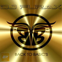DJ Furax - Back to Basic's