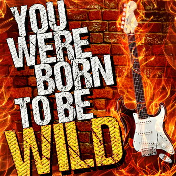 Various Artists - You Were Born to Be Wild!