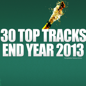 Various Artists - 30 Top Tracks End Year 2013