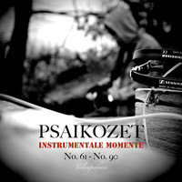 Psaikozet - Instrumentale Momente No. 61 - No. 90 (Teilaufnahmen)