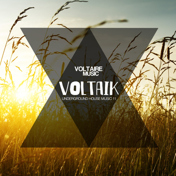 Various Artists - Voltaik, Vol. 11