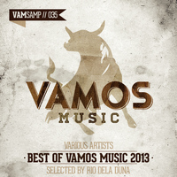 Rio Dela Duna - Best of Vamos Music 2013 - Selected by Rio Dela Duna