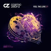 Cosmic Zebra - Feel The Love