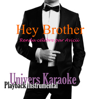Univers Karaoké - Hey Brother (Rendu célèbre par Avicii) [Version Karaoké] - Single