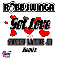 Robb Swinga - Got Love Remix