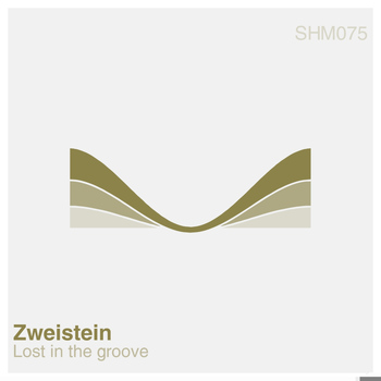 Zweistein - Lost in the Groove
