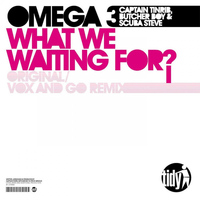 Omega 3 - What We Waiting For