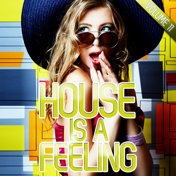 Various Artists - House Is a Feeling, Vol. 11