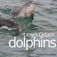 Lewis Odam - Dolphins