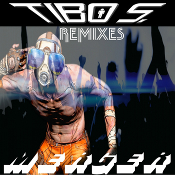 Tibo S - Merger