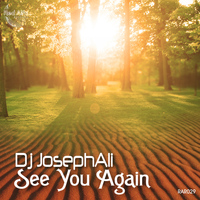 Dj JosephAli - See You Again