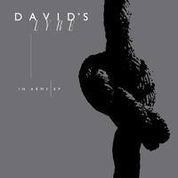 David's Lyre - In Arms EP