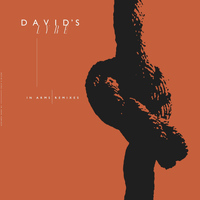 David's Lyre - In Arms Remix EP