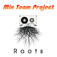 Mix Team Project - Roots
