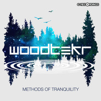 Woodtekr - Methods of Tranquility
